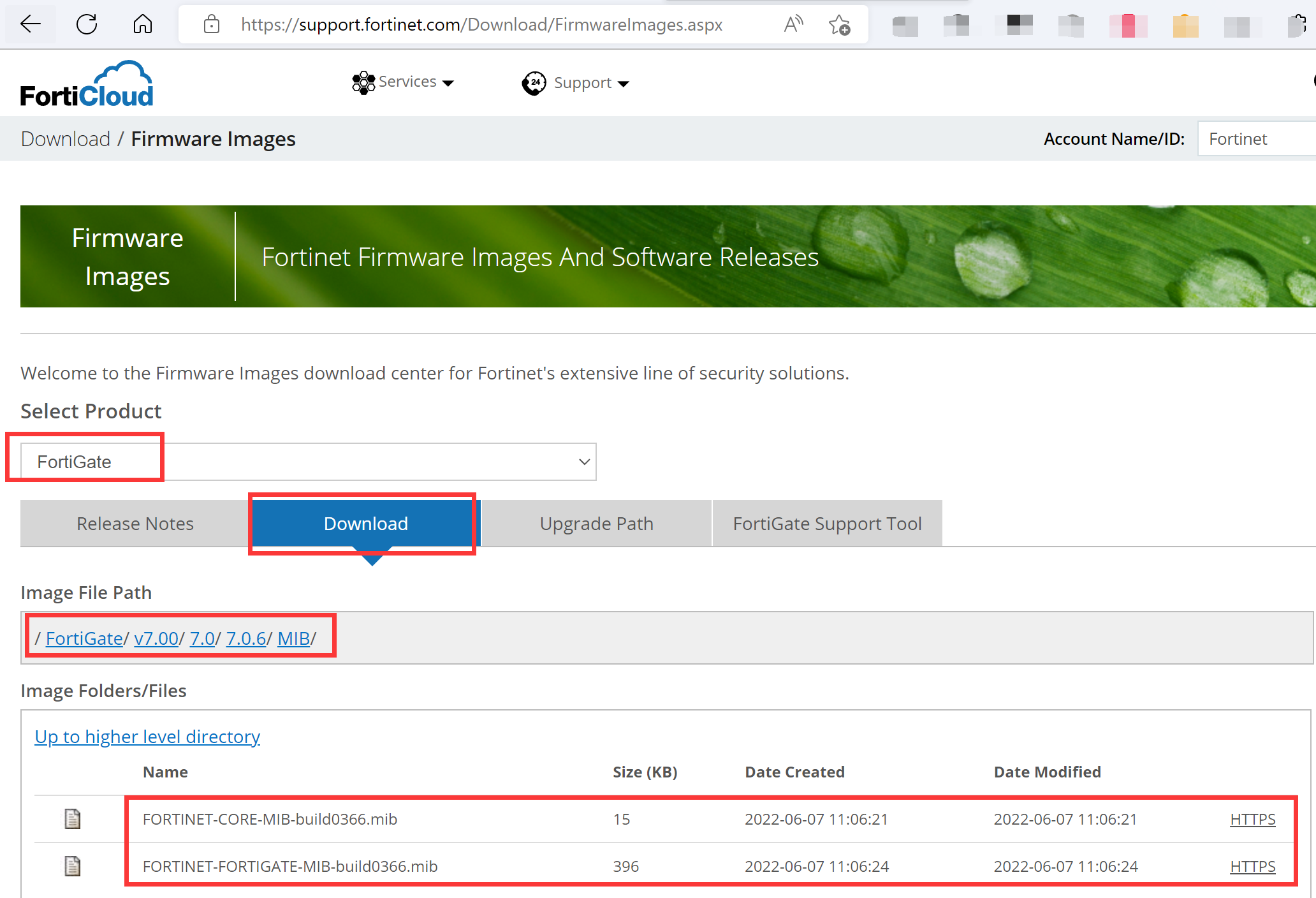 image-20220822181045517