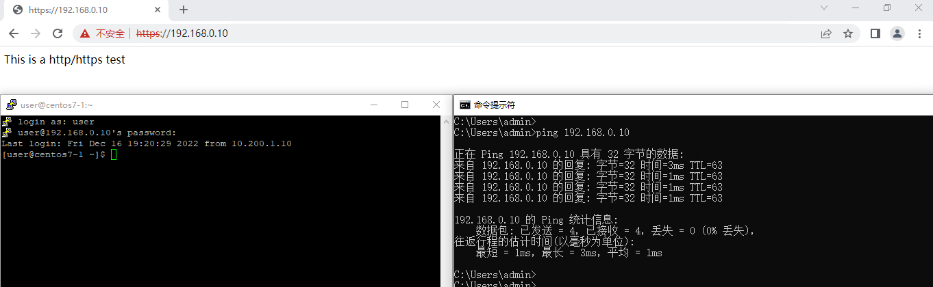 image-20221219215603883