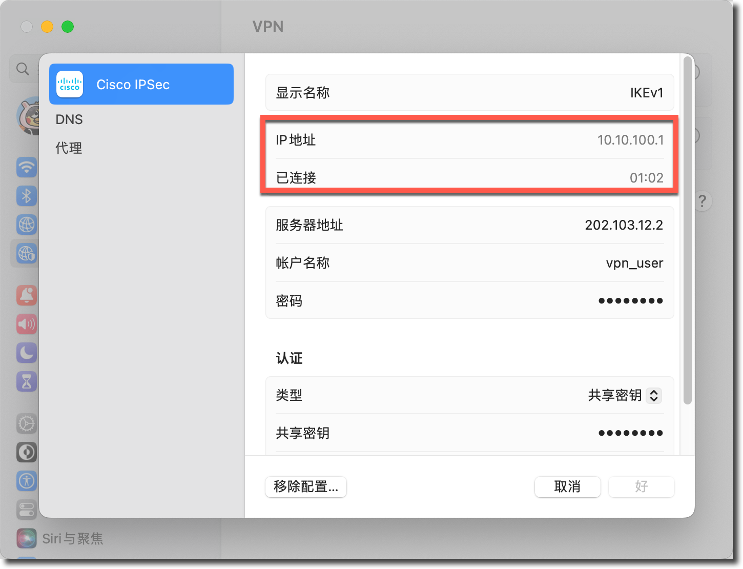 image-20230314174601206