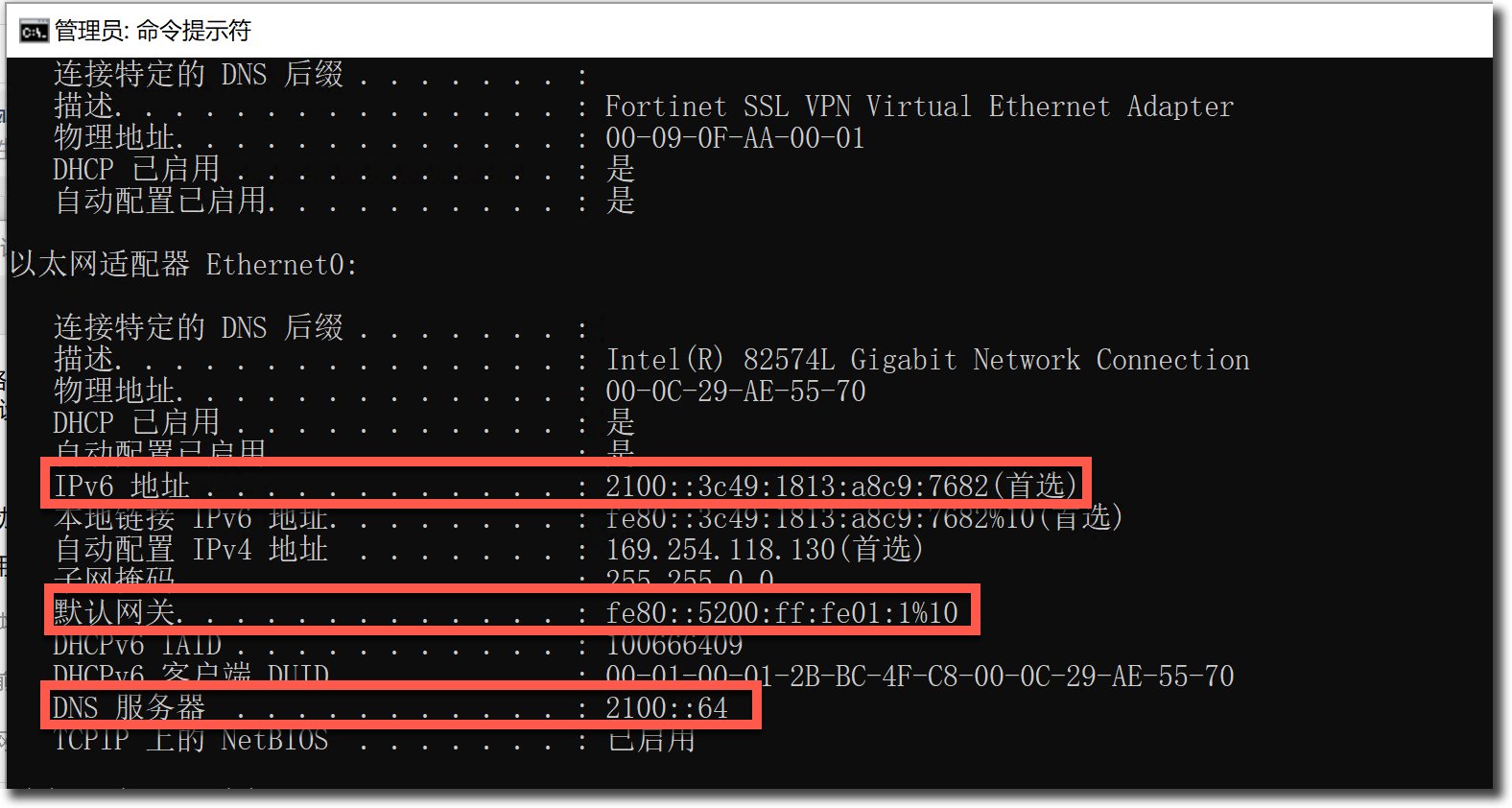 image-20230403171809934
