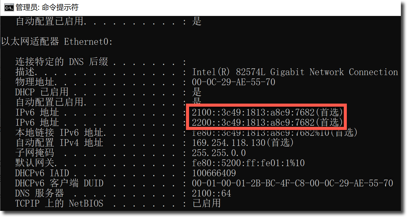 image-20230403175314819