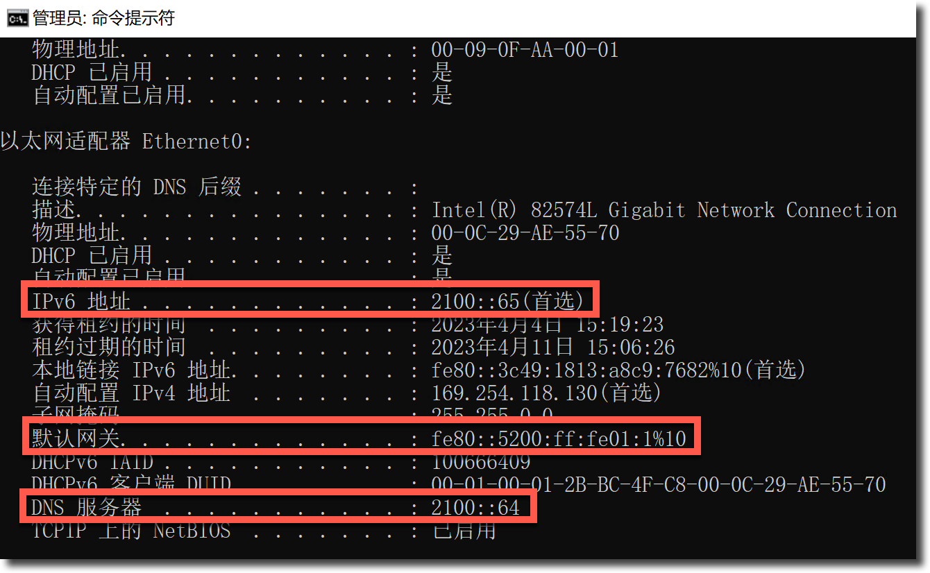 image-20230404152030935