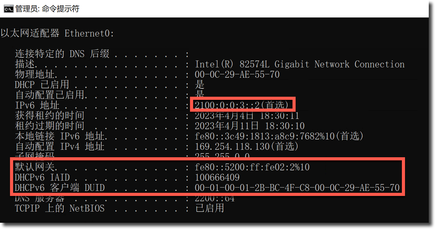 image-20230404183058338