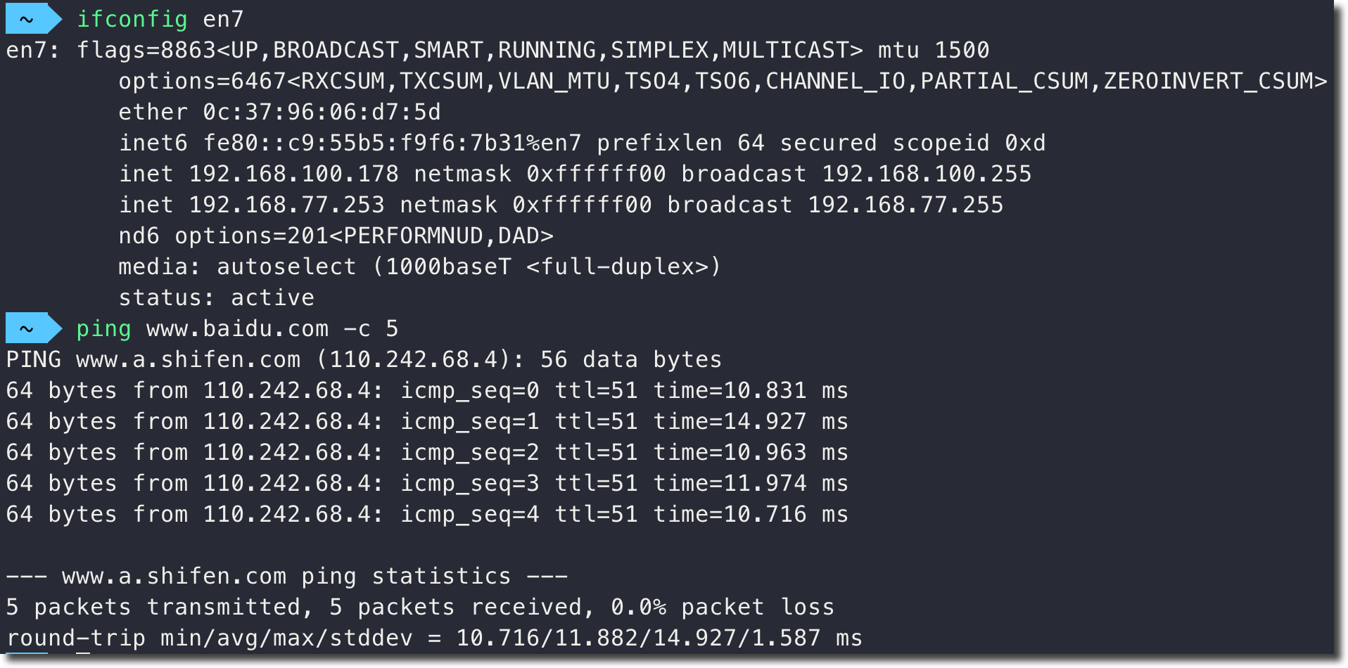 image-20230419164119984