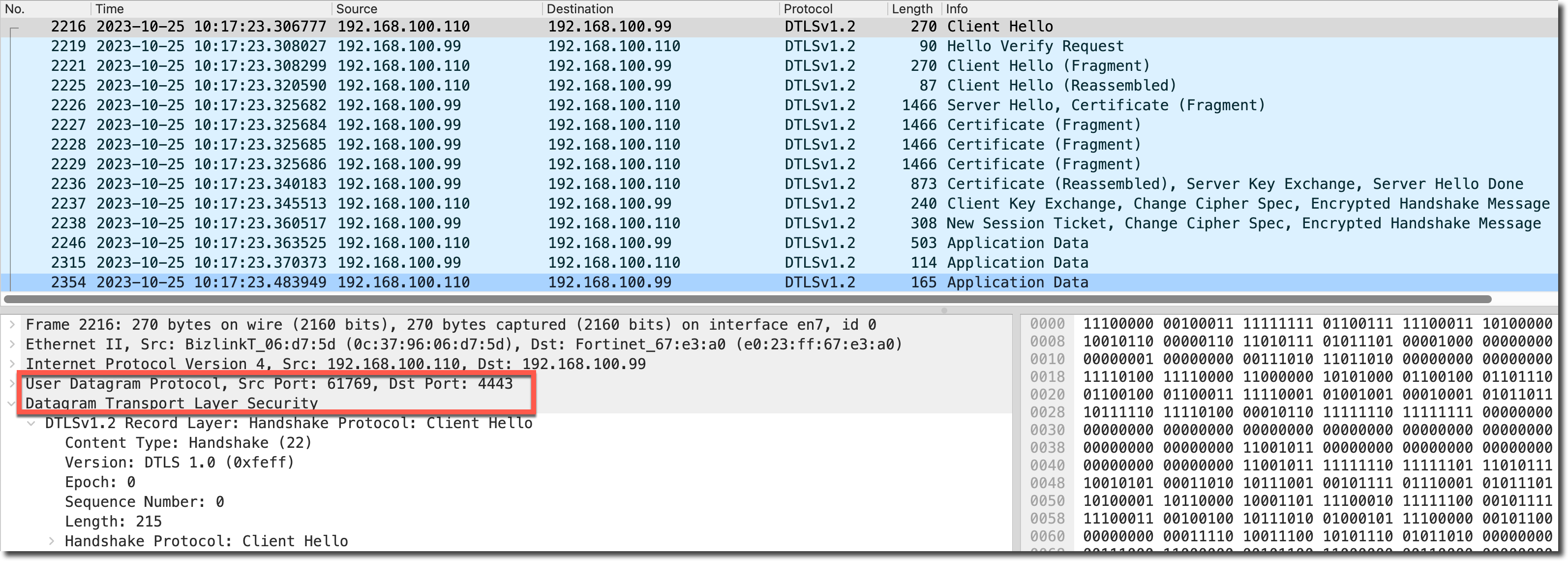 image-20231025101925850