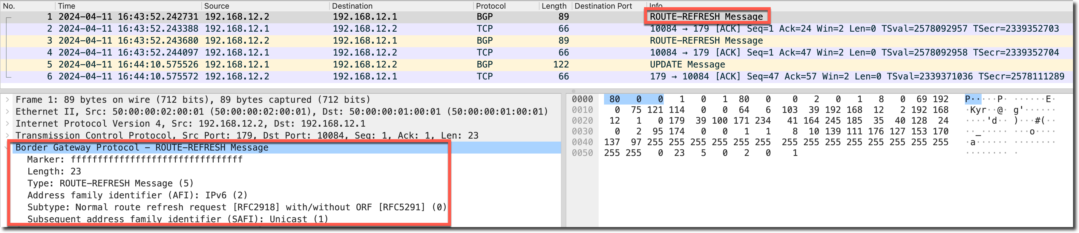 image-20240411165137642