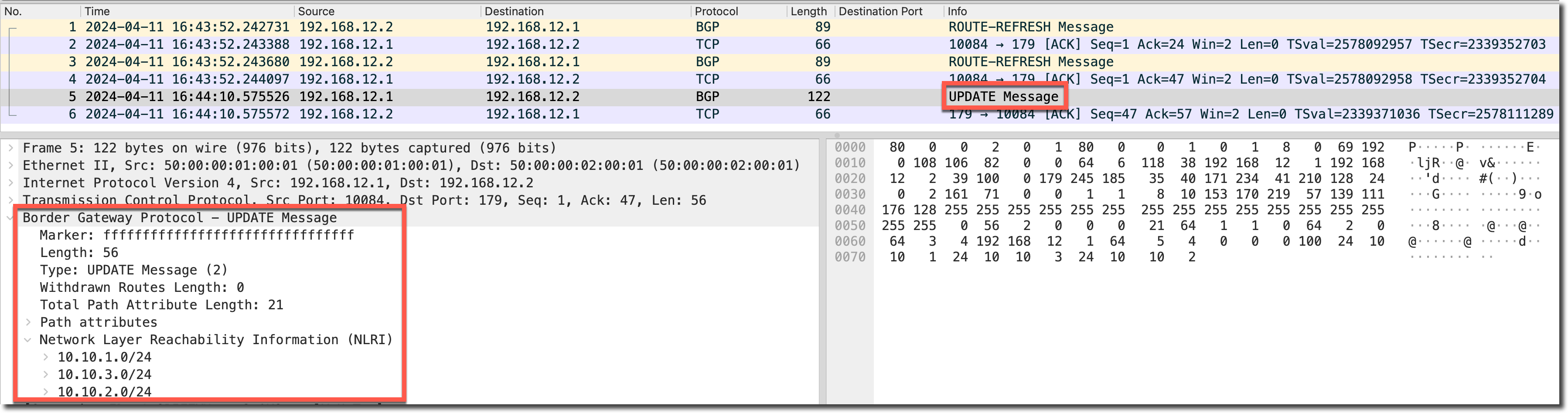 image-20240411165309727