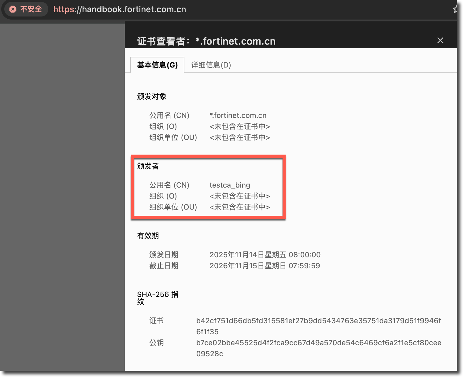 image-20260120174251178