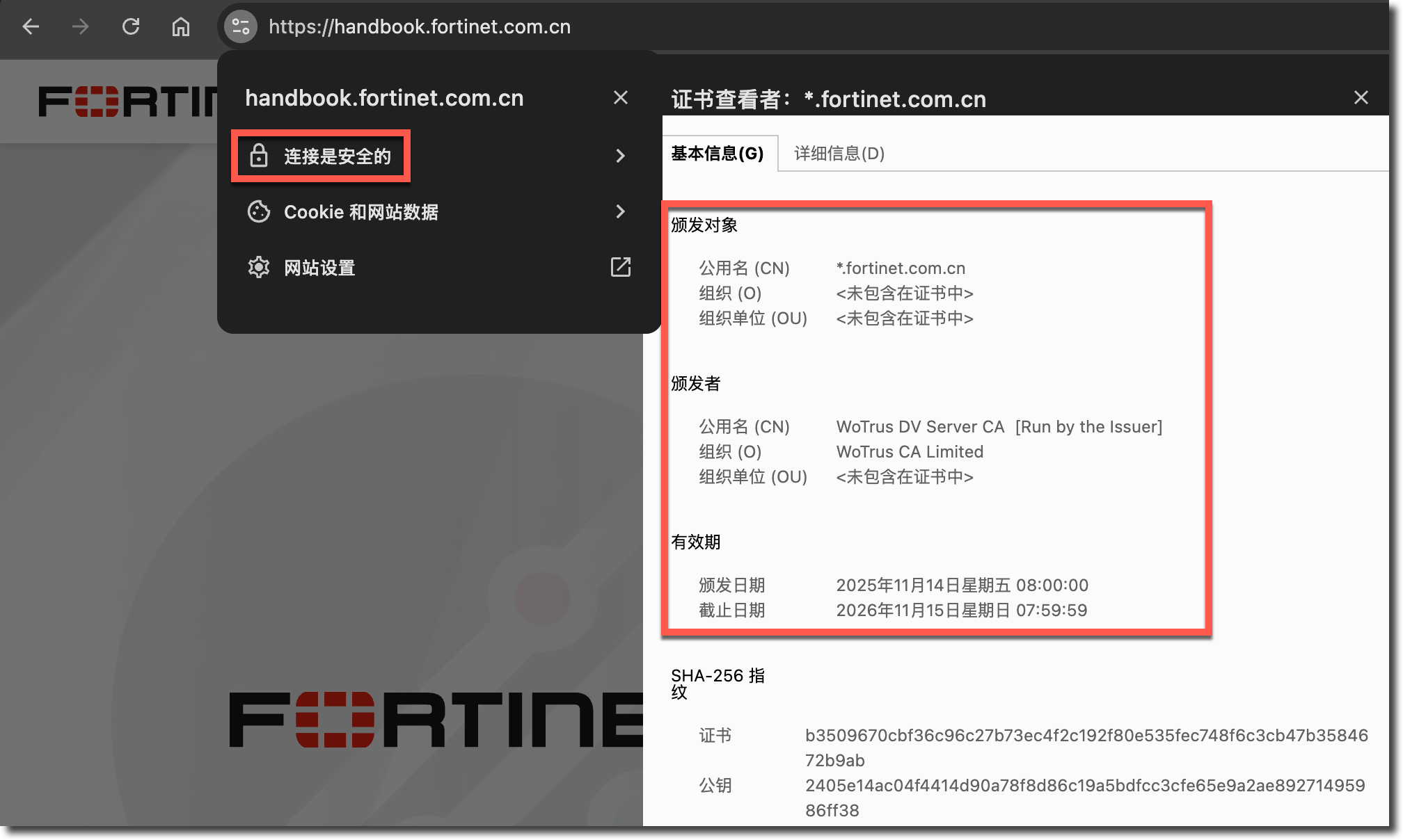 image-20260126160755340